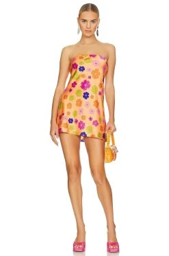 Show Me Your Mumu X Revolve Taylor Mini Dress Poppin Poppy